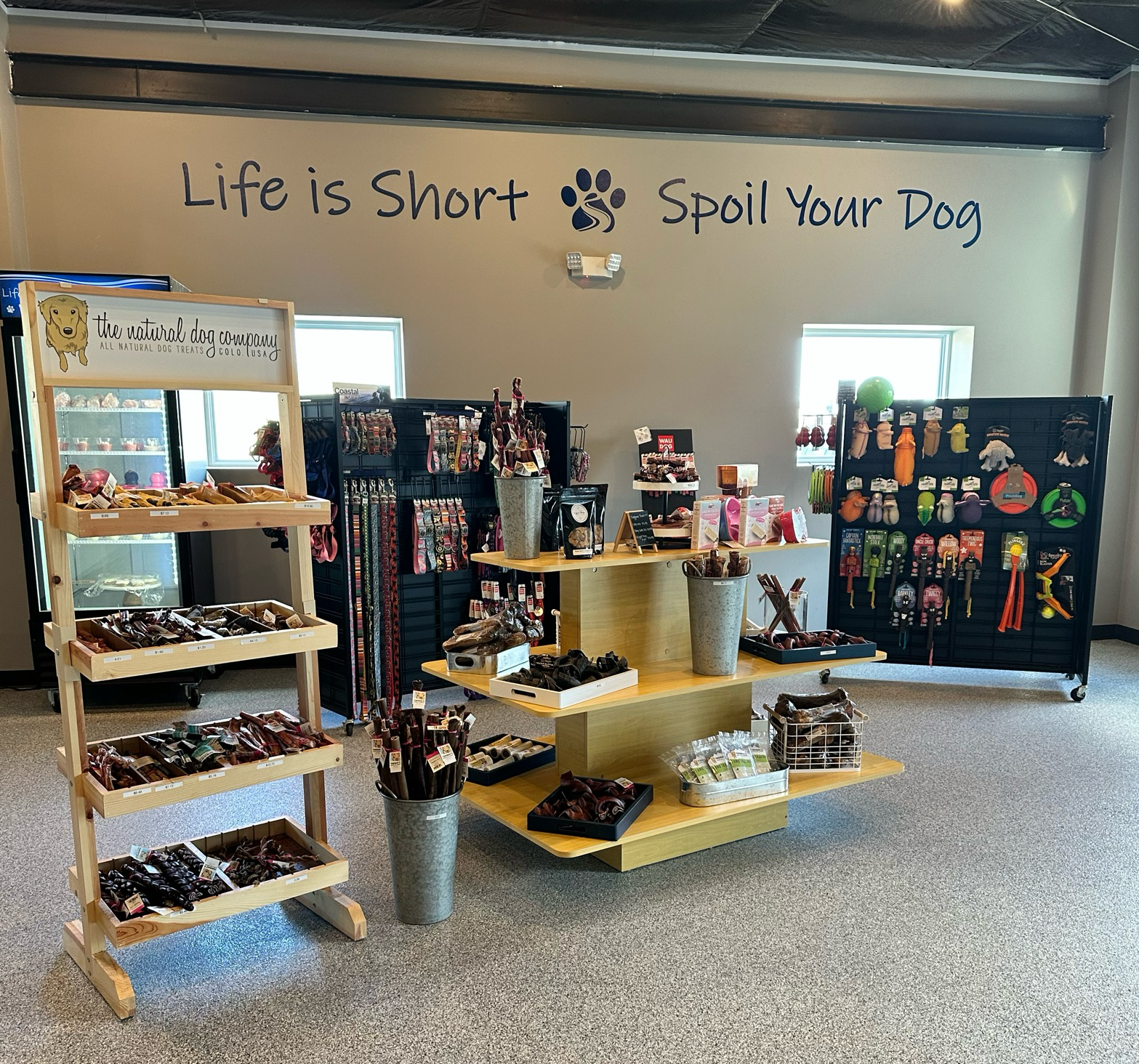 Dog Resort Retail Store Image 1